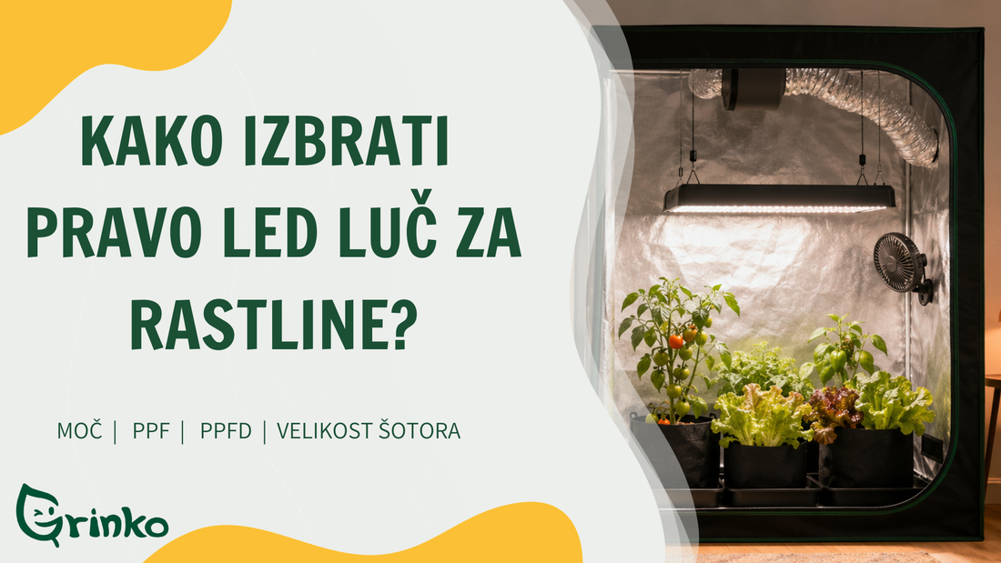 LED luč za rastline v notranjem prostoru