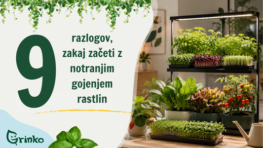 Notranje gojenje rastlin doma z zelišči, mikrozelenjem in sadikami pod rastno lučjo