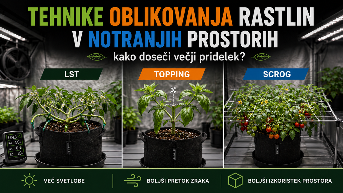 Tehnike oblikovanja rastlin v notranjih prostorih LST, topping in SCROG