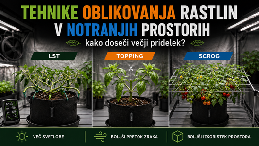 Tehnike oblikovanja rastlin v notranjih prostorih LST, topping in SCROG