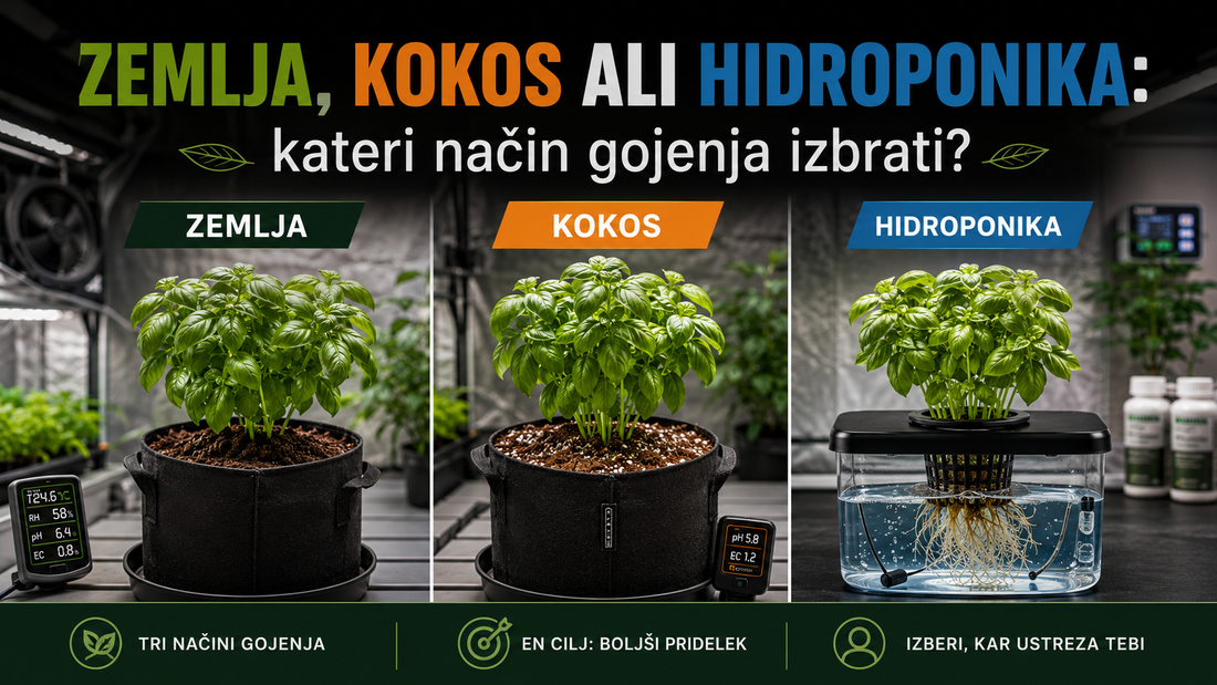 Primerjava različnih substratov: zemlja, kokos in hidroponika